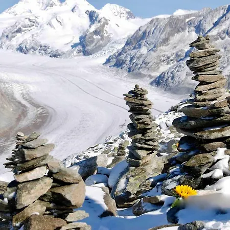 Mischabelblick Lejlighed