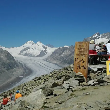 Mischabelblick * Fiesch