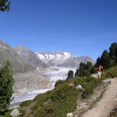 Lägenhet Mischabelblick Fiesch